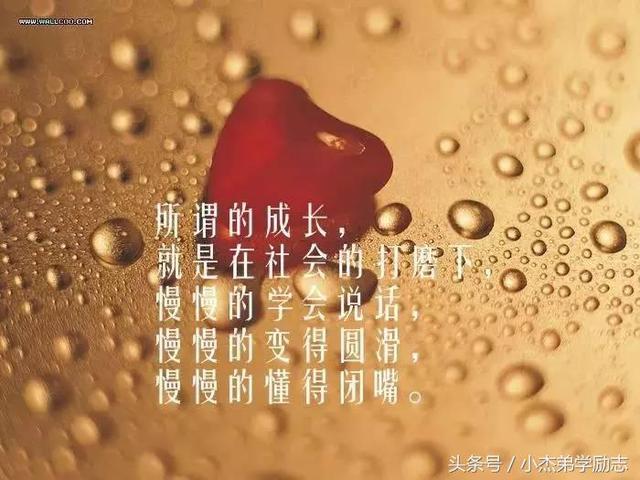 有深度有品味的人生感悟,戳心入骨,句句入人心扉