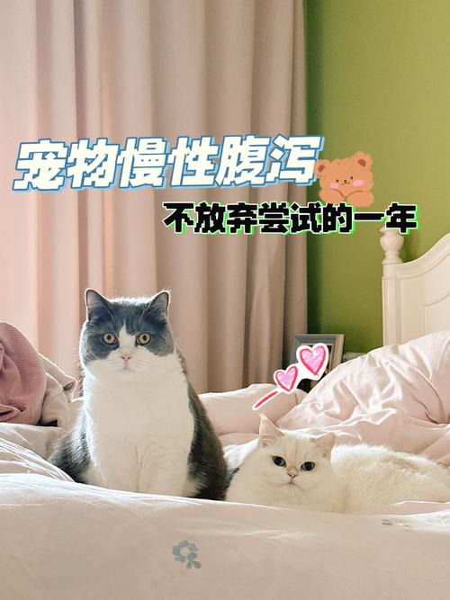 医生，小猫到家几天突然拉稀不吃东西，是怎么了。