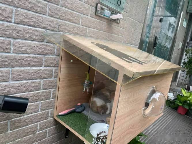 哇塞，这是什么神仙物业给小区流浪猫建大猫屋，做绝育