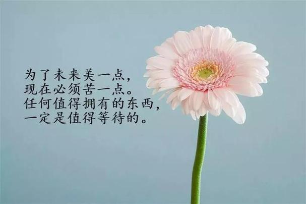 非常走心的人生感悟文案，一种年龄，一种心境，一种领悟，精辟