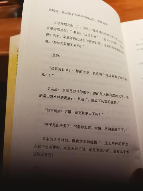 贾平凹《天上的星星》散文阅读附答案