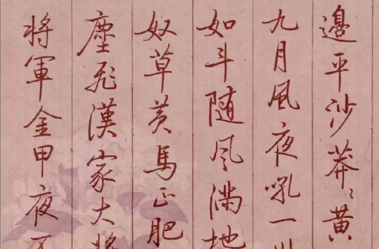 岑参最简短的一首边塞诗，短短20个字，写出了中华威风