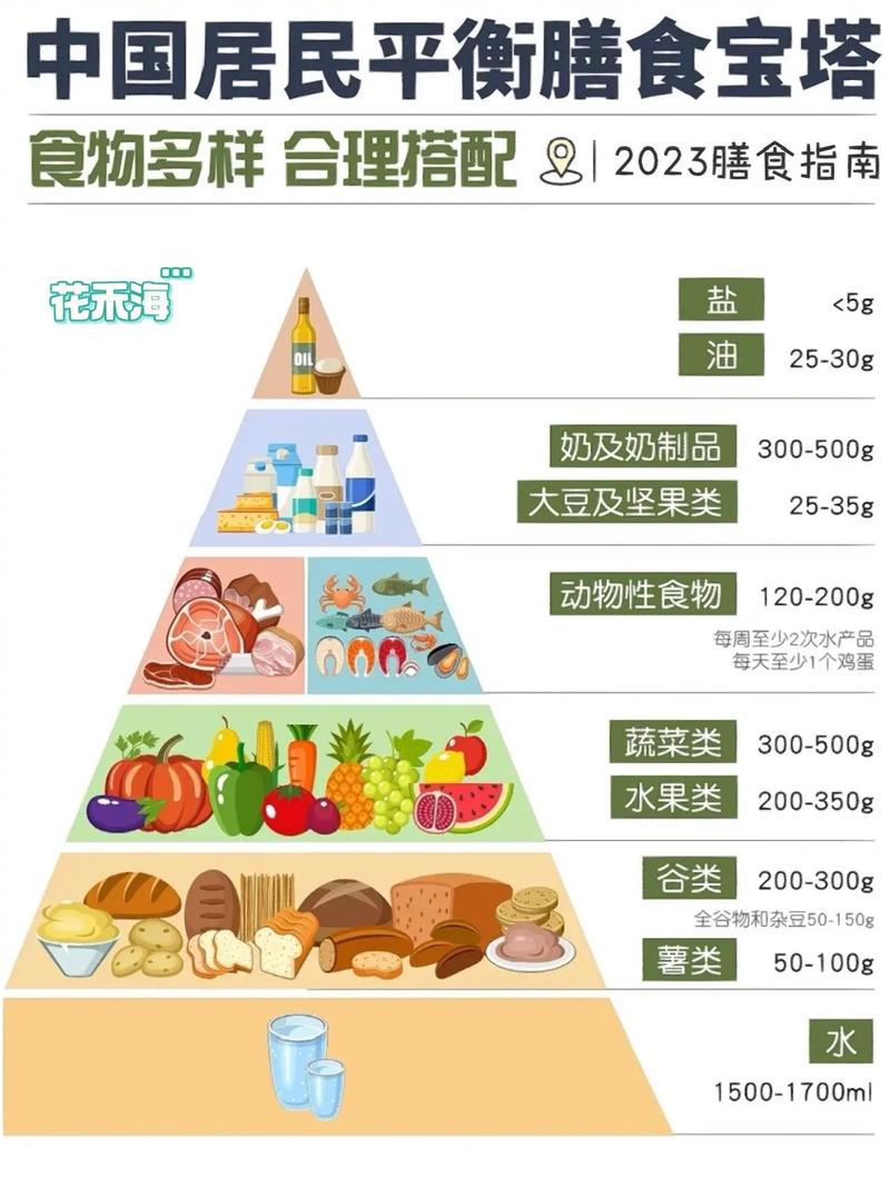 如何吃得更健康。最新版中国居民膳食指南来了