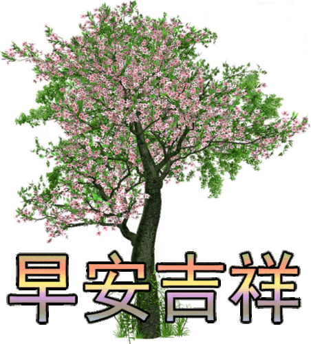 上午好,最新最美的问候动态图片大全,祝福语句子