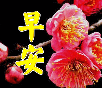 上午好鲜花动态图片带字大全,冬天祝福语句子