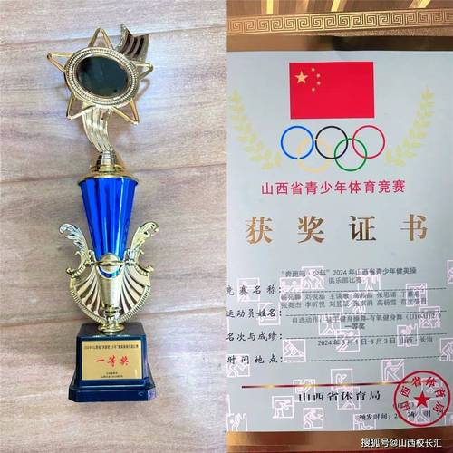 直通校园荣获一等奖小店区卫华小学参加“奔跑吧-少年”健美操比赛喜获佳绩