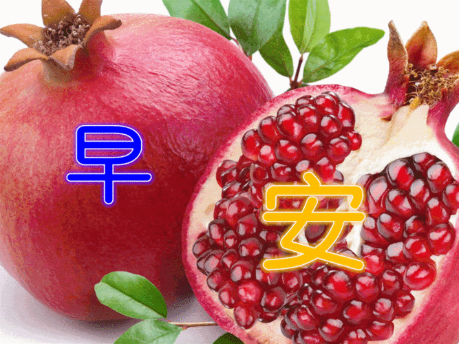 8张最新漂亮夏日早上好图片动态带字夏天最美早安图片水果带字带祝福语