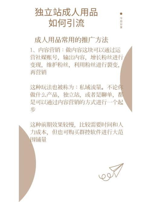 外贸独立站成人用品怎么做。