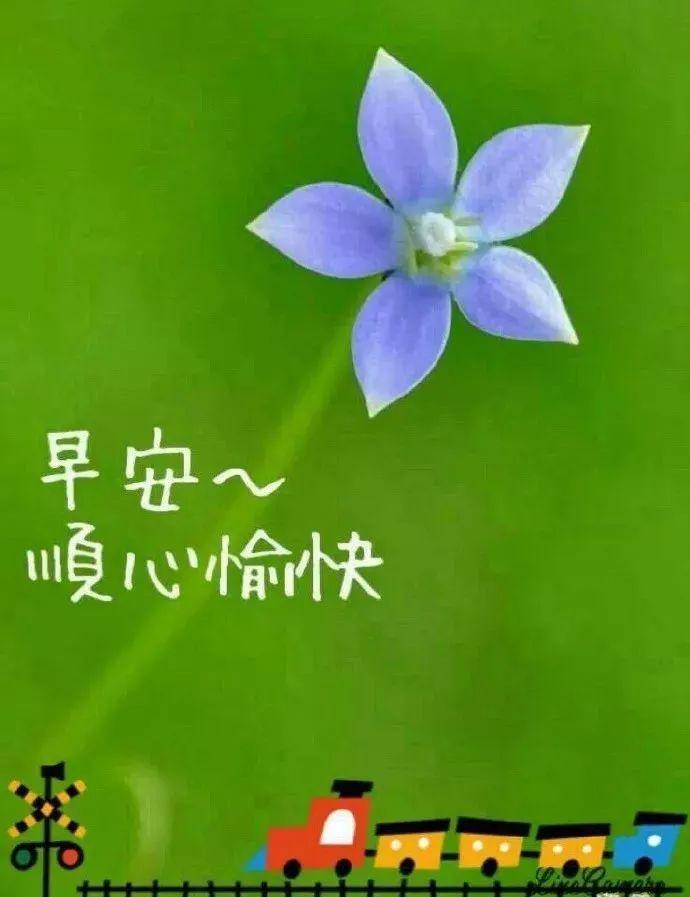 8月22日最新早安唯美图片问候祝福语大全