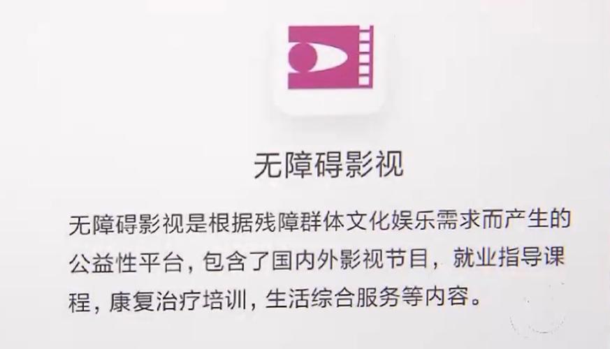 APP提供无障碍电影在线播放服务被诉法院一审认定不构成合理使用