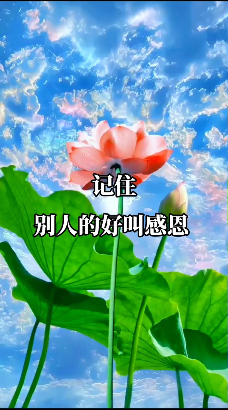 学会感恩,懂得生活的美好。