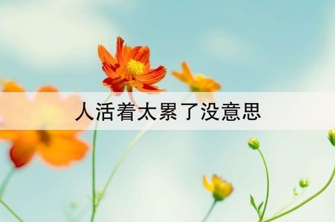 人活着,都很累含泪看完