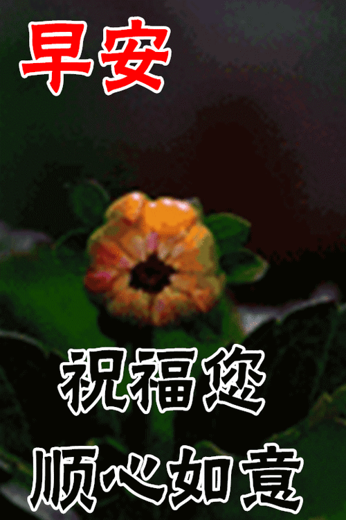 早安图片,冬天暖心早安问候句子,漂亮的冬天动态美图