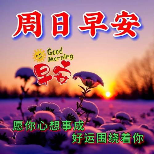 周日简短周末问候客户祝福语,早安图片精选篇
