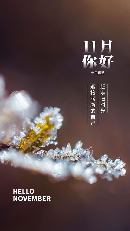 十一月,最好的生活状态藏