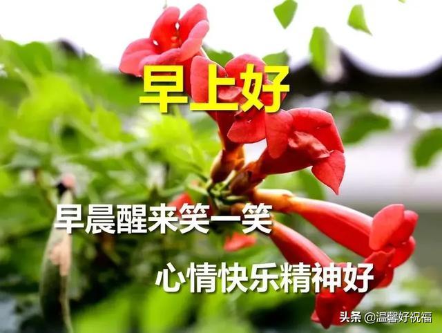 9月3日-唯美早安漂亮图片大全，早安温暖问候祝福语