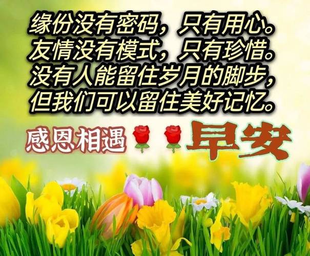 今日新颖脱俗的早上好问候句子图片表情大全,秋风生凉意,祝福暖人心。