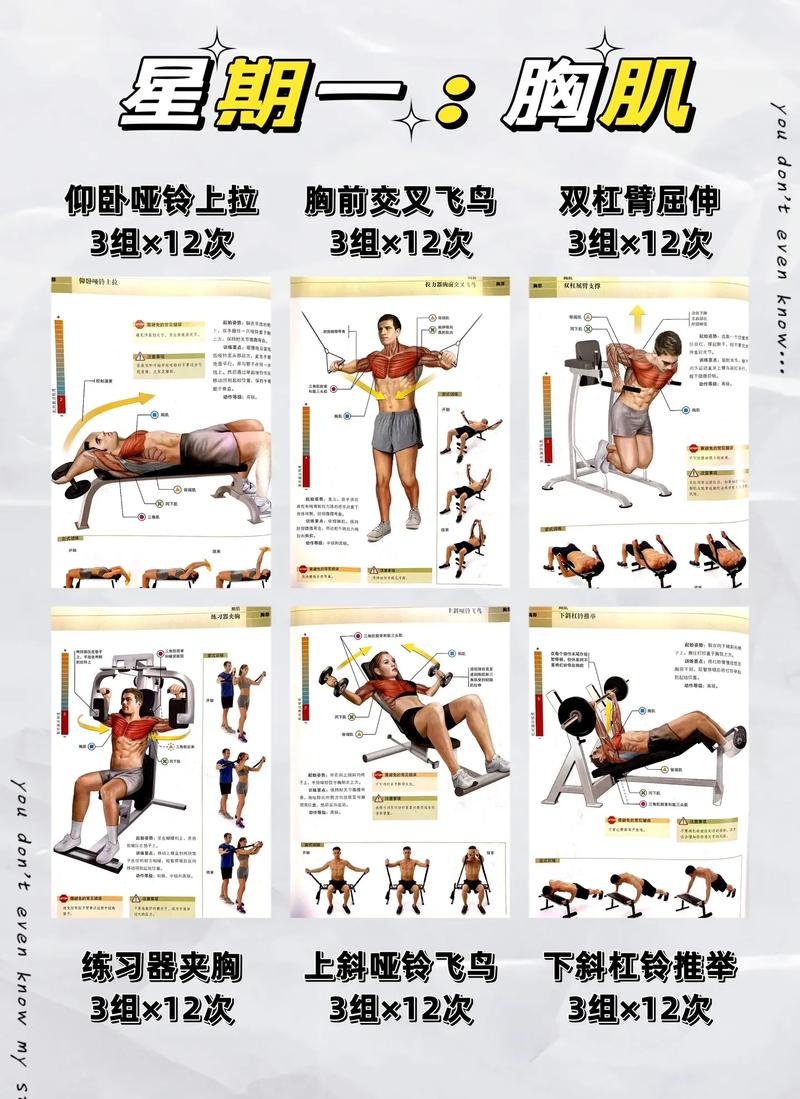 掌握健身领域神秘的训练方法,了解定义,获取技巧,发挥能力