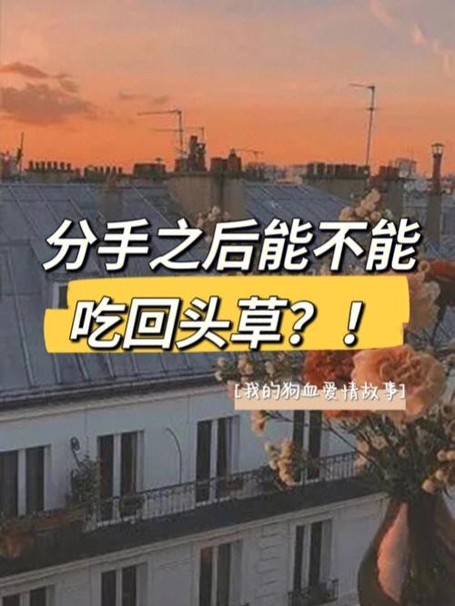 在职场回头草到底能不能吃。