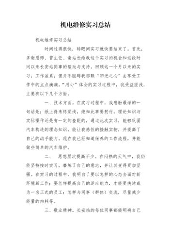 机电仪维修实训总结报告：技能提升与职业素养的融合
