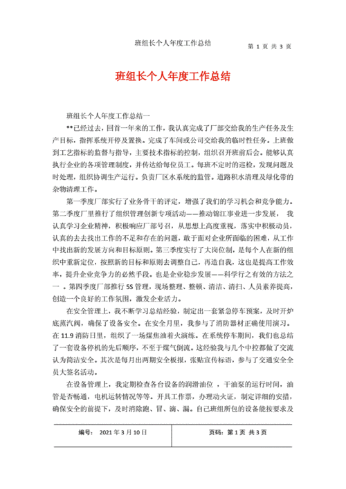 维修班组长年终总结报告解读