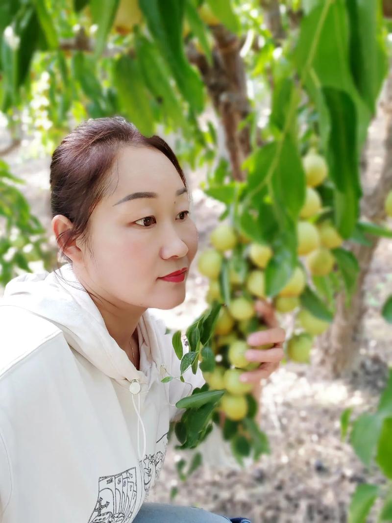 巫溪空气能采暖代理,绿色节能的冬日暖阳_巫溪空气能采暖代理